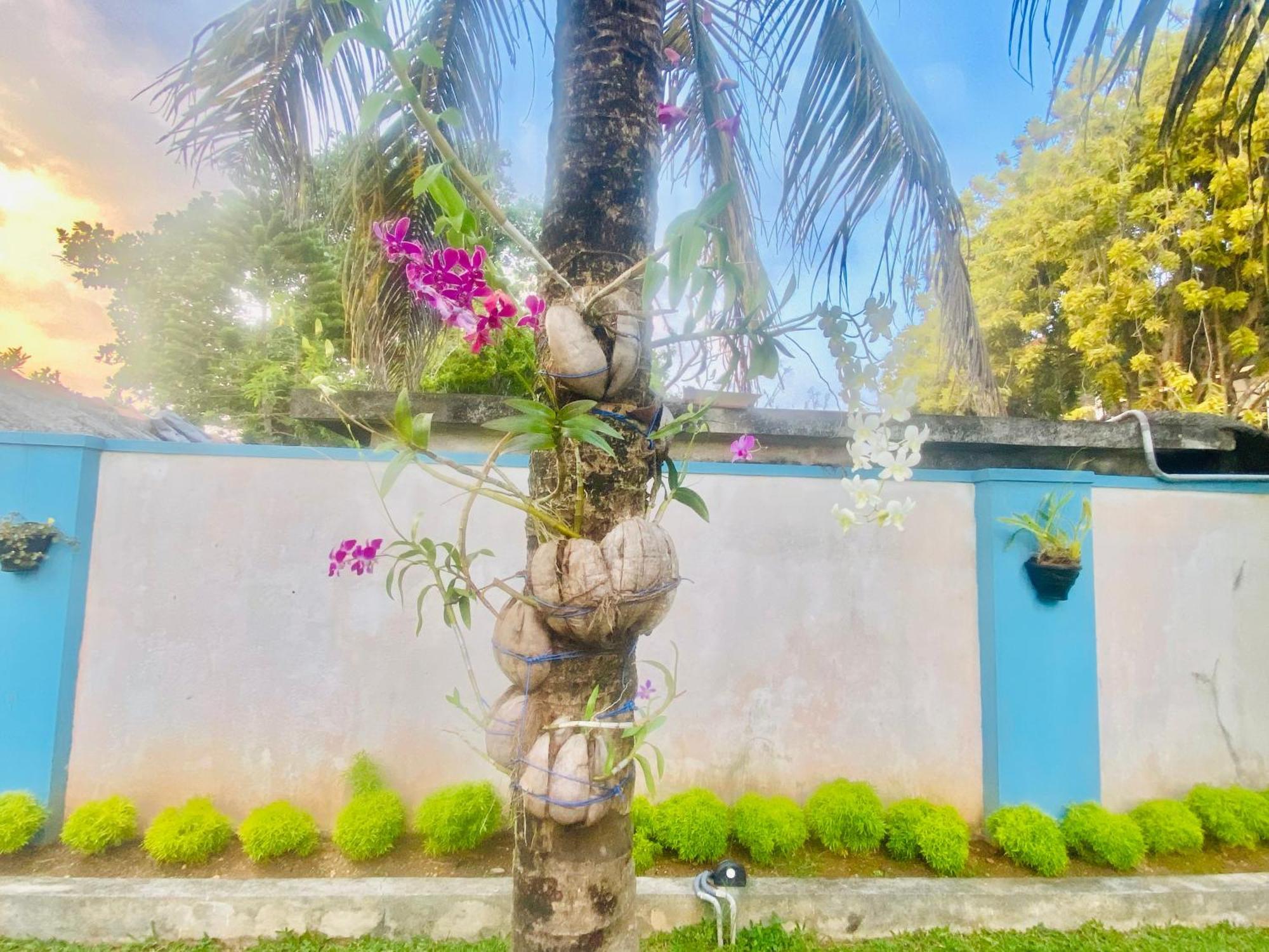 Villa Riverside Aluthgama Buitenkant foto